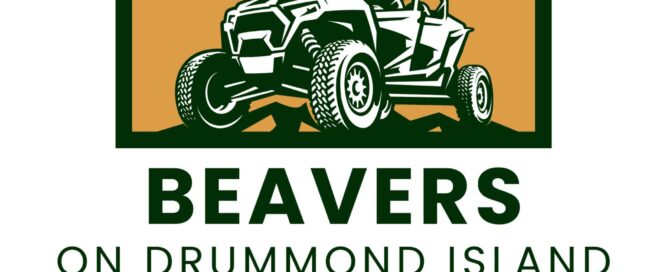 Beavers On Drummond Island